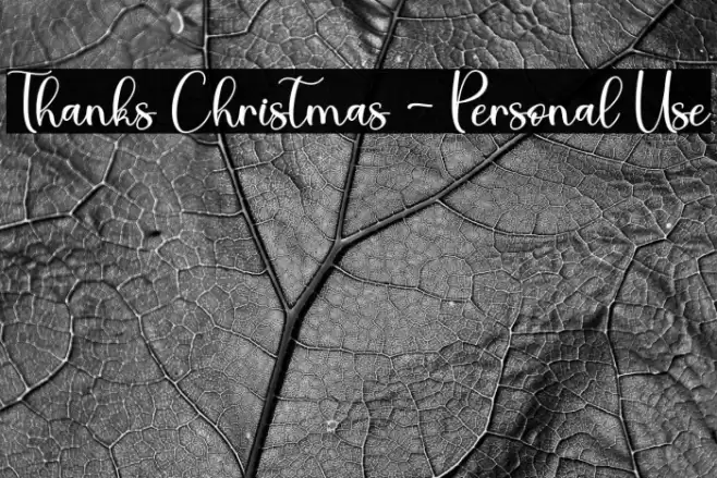Thanks Christmas - Personal Use Font examples