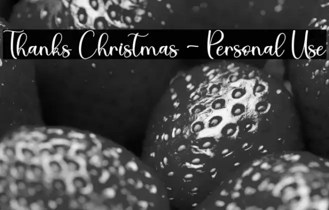 Thanks Christmas - Personal Use Font examples