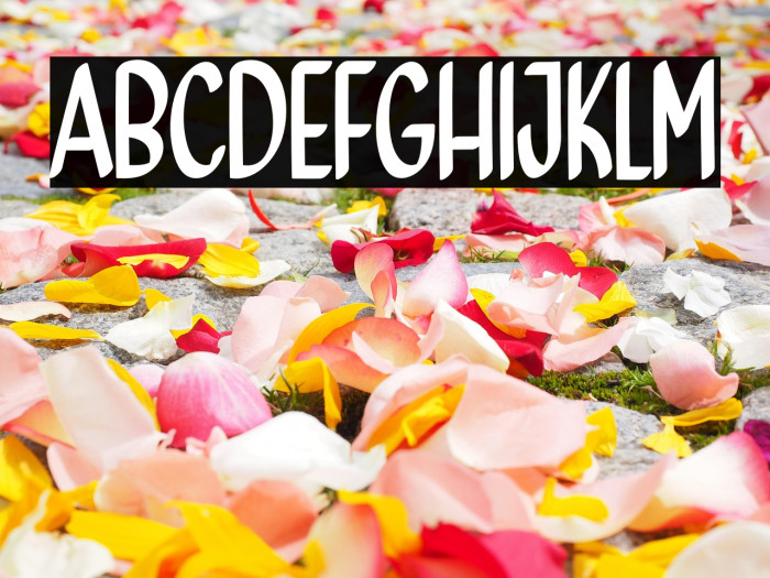 Thanks Giving Example 1