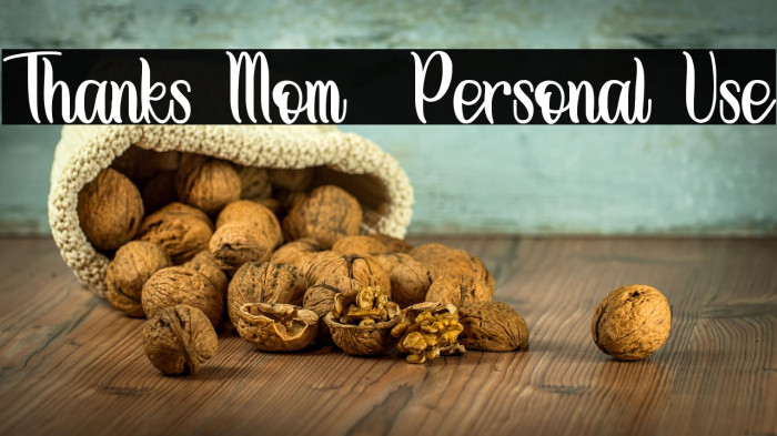 Thanks Mom - Personal Use Example 1