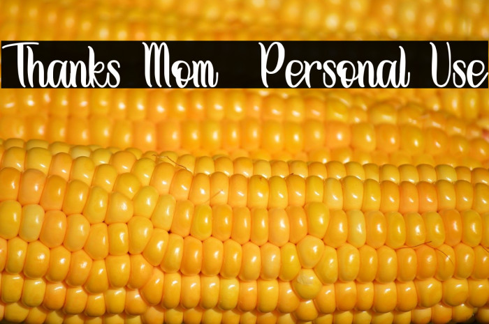 Thanks Mom - Personal Use Example 2