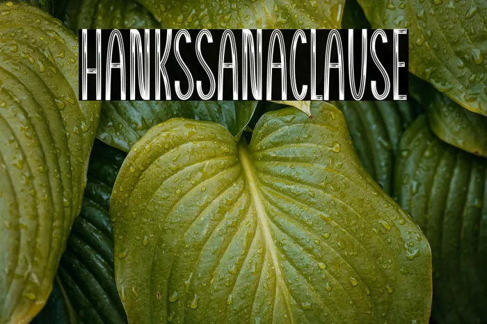 Thanks Santaclause Example 1