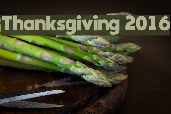 Thanksgiving 2016 Font examples
