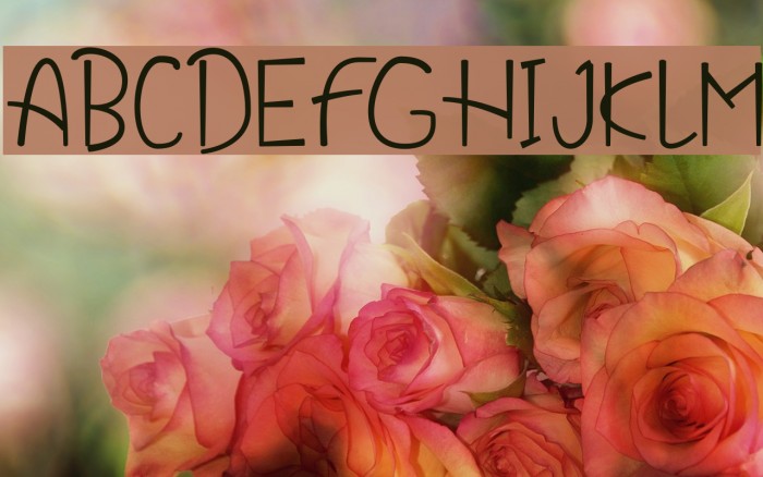 Thanksgiving Cooker Example 1