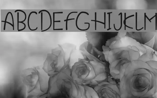 Thanksgiving Cooker Font examples