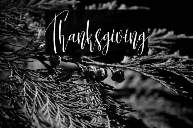 Thanksgiving Schriftart examples