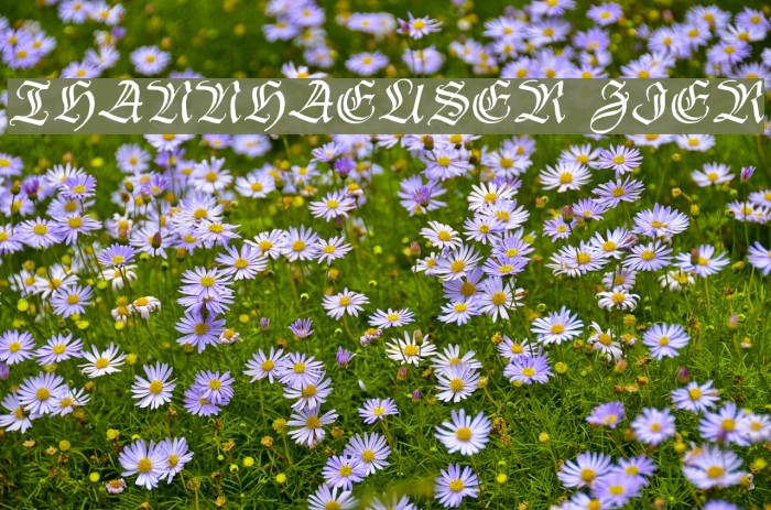 Thannhaeuser Zier Font examples