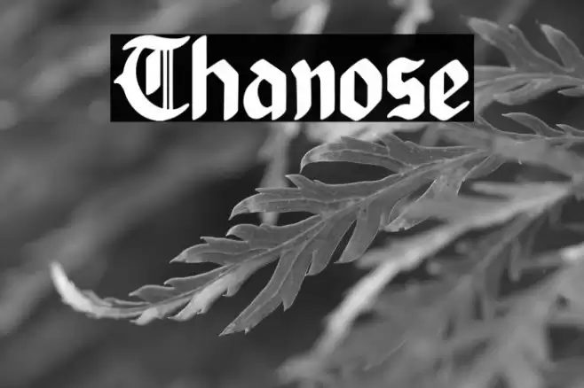 Thanose Font examples