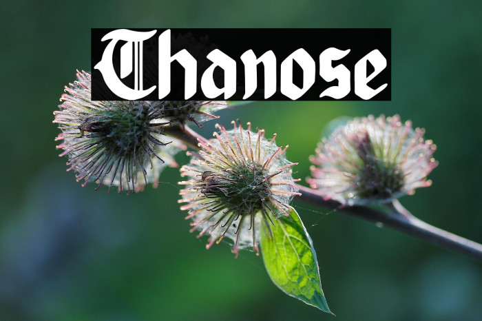 Thanose Example 3