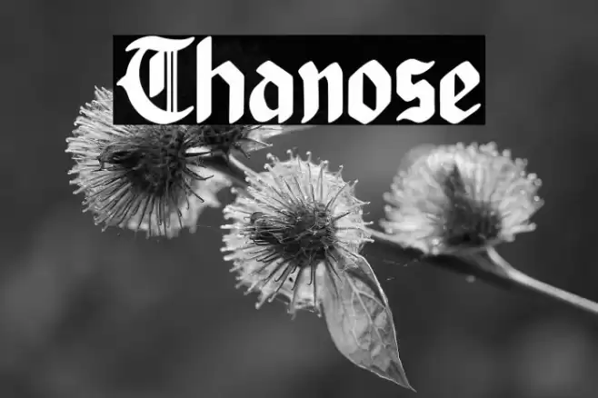 Thanose Font examples