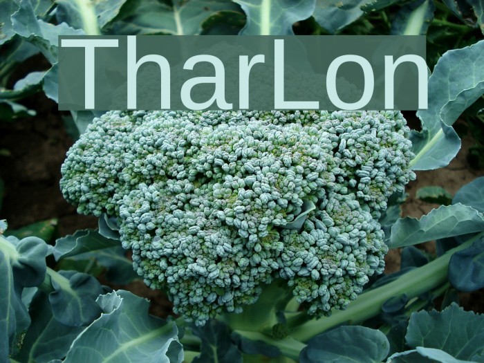 TharLon Font examples