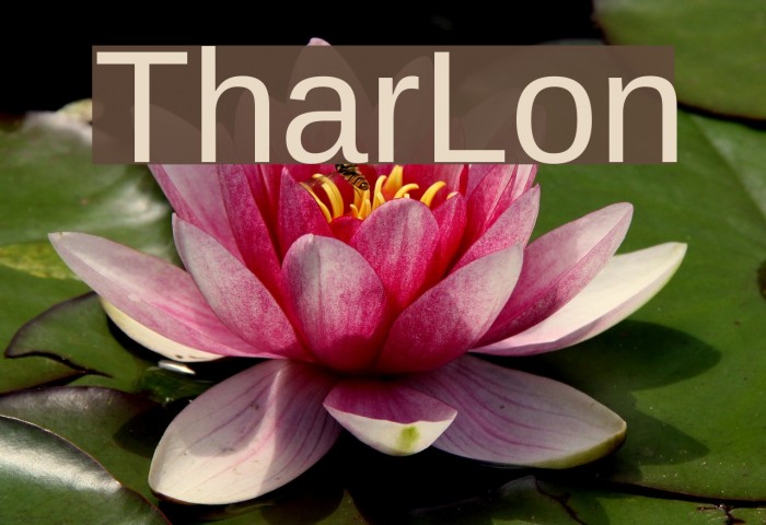 TharLon Font examples