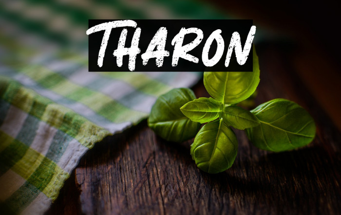 Tharon Example 2