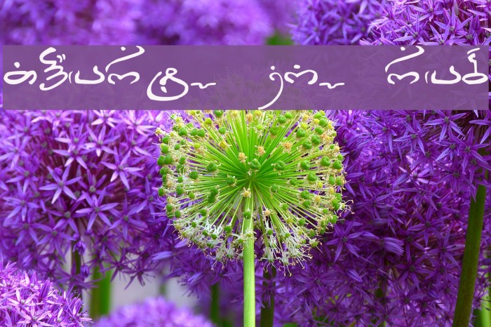 Thart_Geo_Arab Font examples