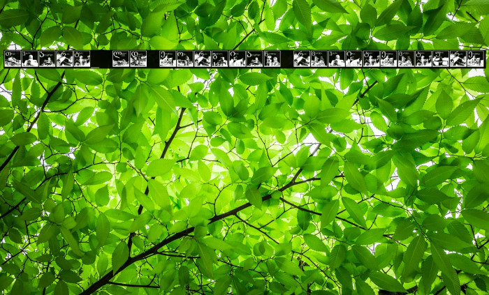 Thart_OldGeorgianArchitecture Font examples