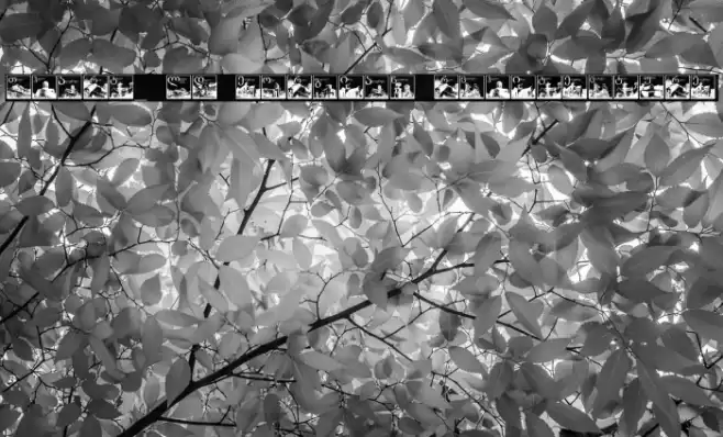 Thart_OldGeorgianArchitecture Font examples