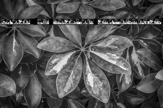 Thart_OldGeorgianArchitecture Font examples