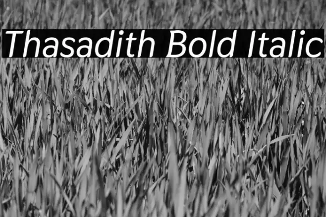 Thasadith Bold Italic Font examples