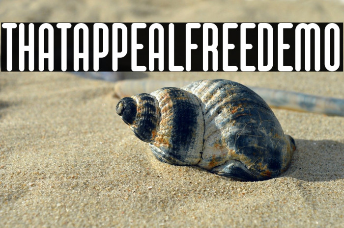 That Appeal Free Demo Example 1