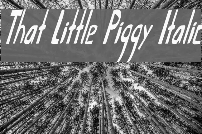 That Little Piggy Italic Font examples