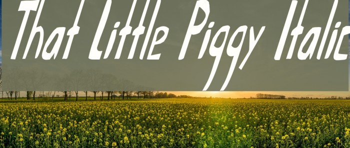 That Little Piggy Italic Шрифта examples