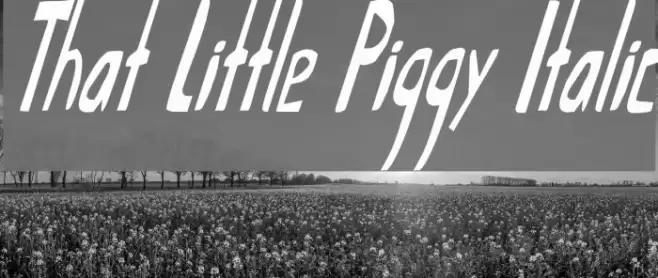 That Little Piggy Italic Font examples