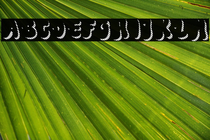 ThatSecretFeeling-Regular Example 3