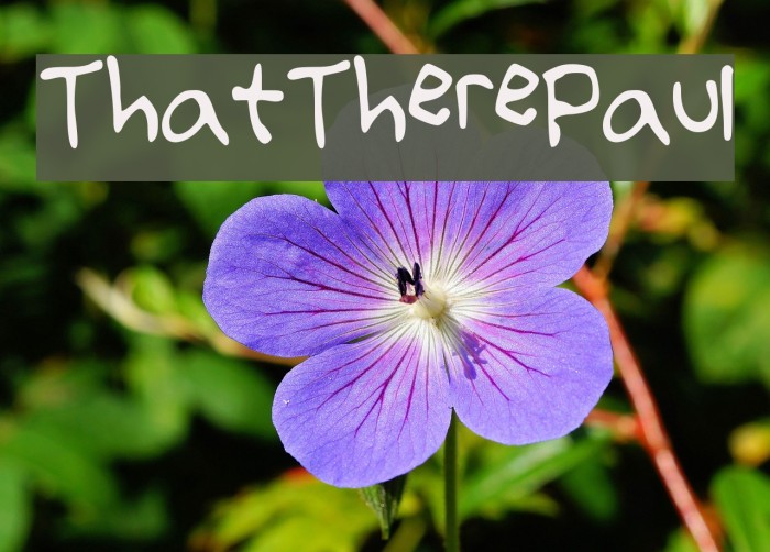 That_There_Paul Example 2