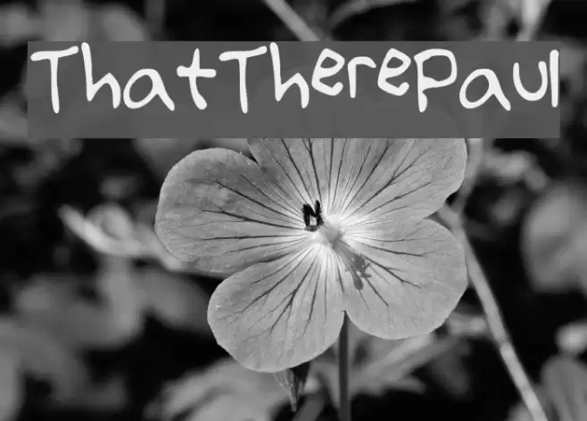 That_There_Paul Font examples