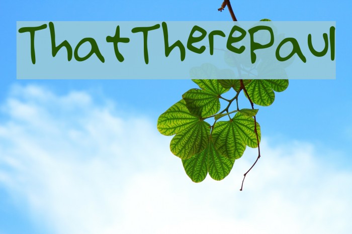 That_There_Paul Example 3