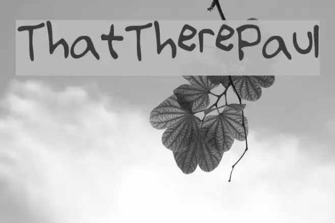 That_There_Paul Font examples