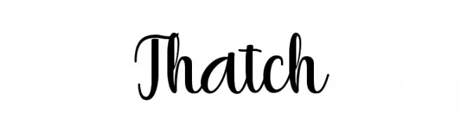 Thatch 