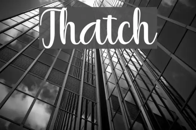 Thatch Font examples