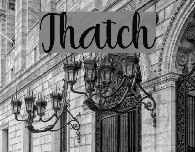Thatch Font examples