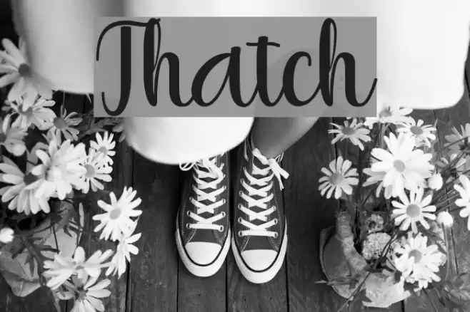 Thatch Font examples