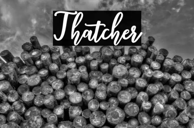 Thatcher Font examples