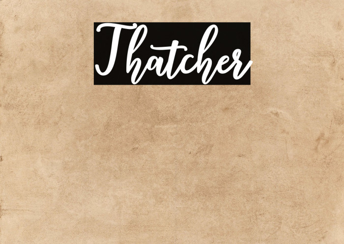 Thatcher Example 2