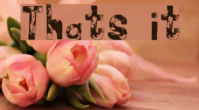 Thats it Font examples