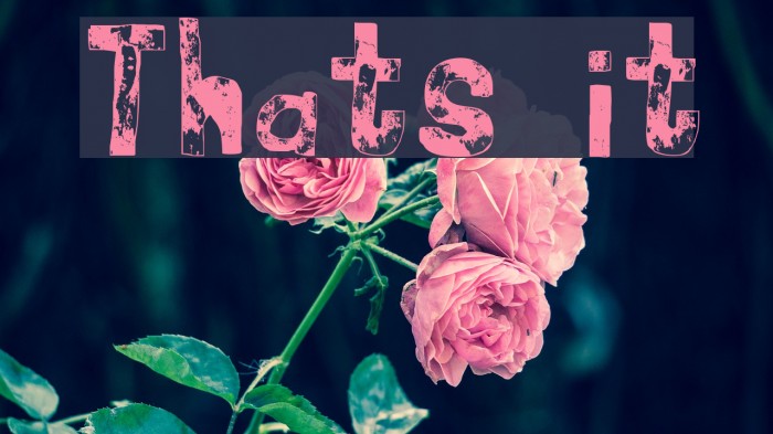 Thats it Font examples