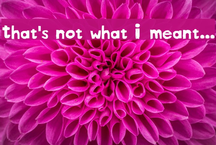 That's not what I meant... Example 1