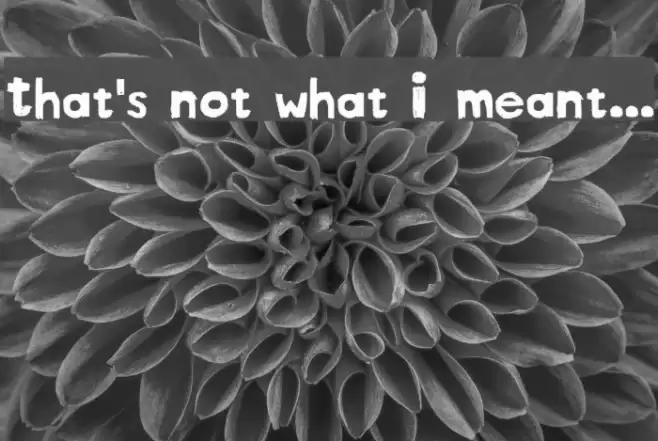 That's not what I meant... Font examples