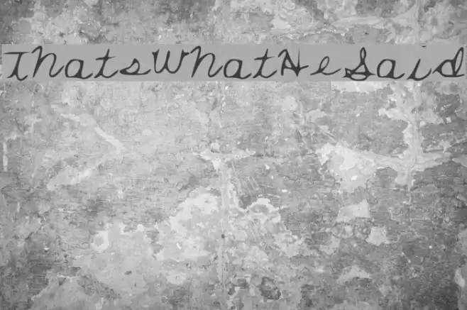 ThatsWhatHeSaid Font examples