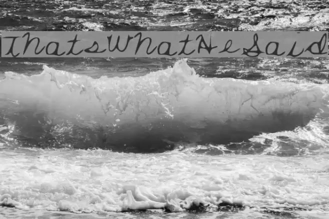 ThatsWhatHeSaid Font examples