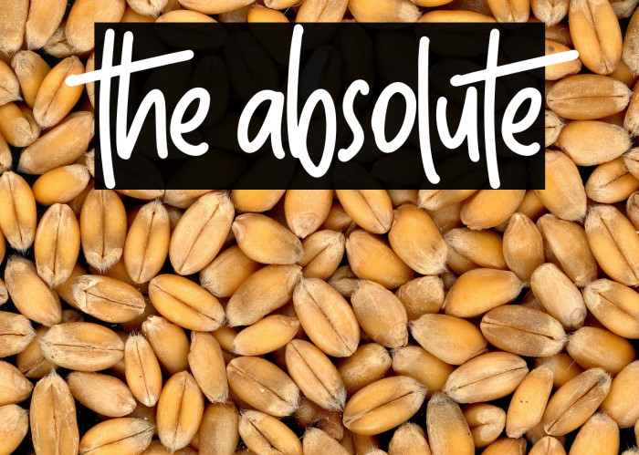 The Absolute Example 1