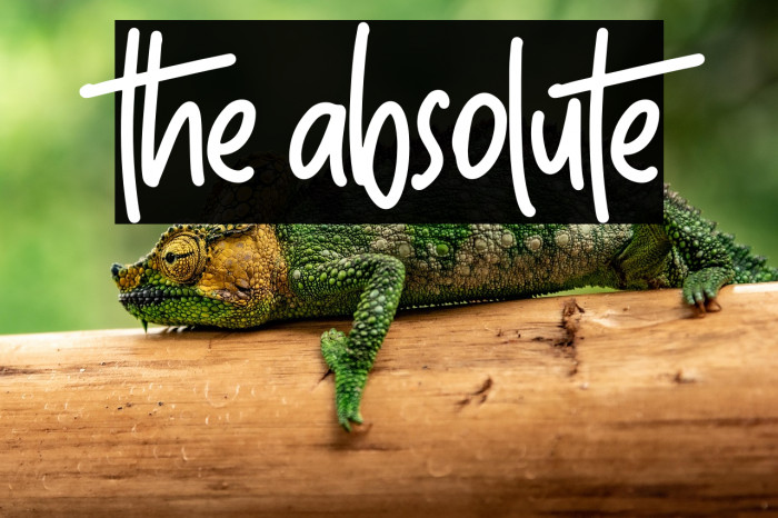 The Absolute Example 3