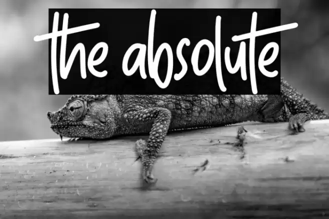 The Absolute Font examples