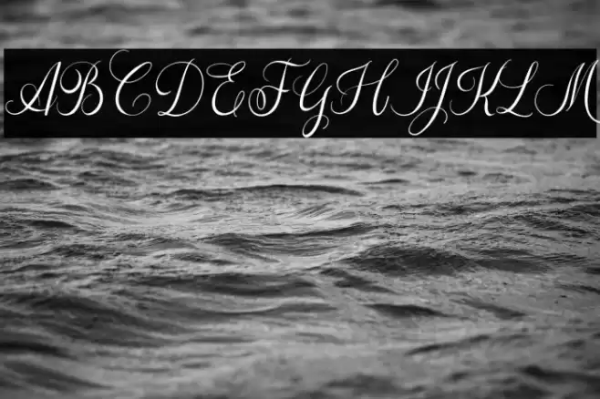 The Adelyne Script Font examples