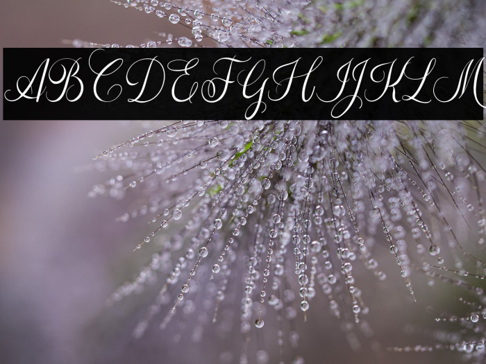 The Adelyne Script Example 2