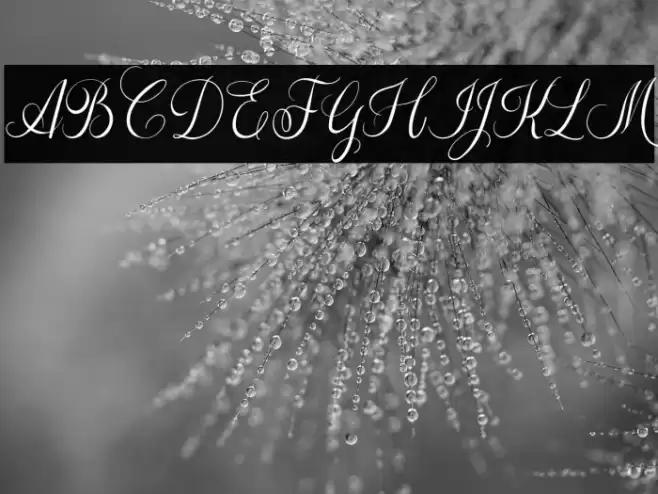 The Adelyne Script Font examples