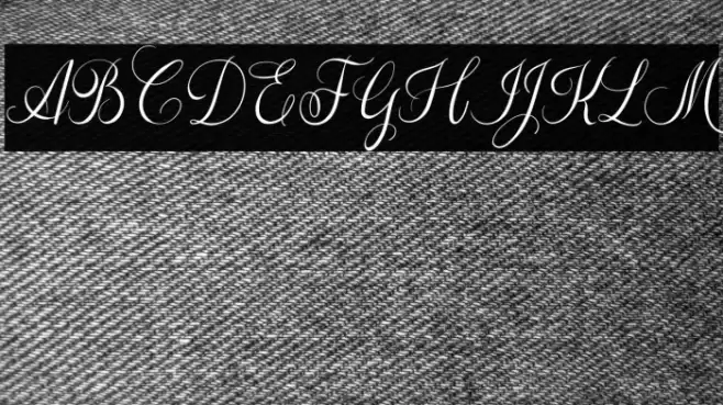 The Adelyne Script Font examples